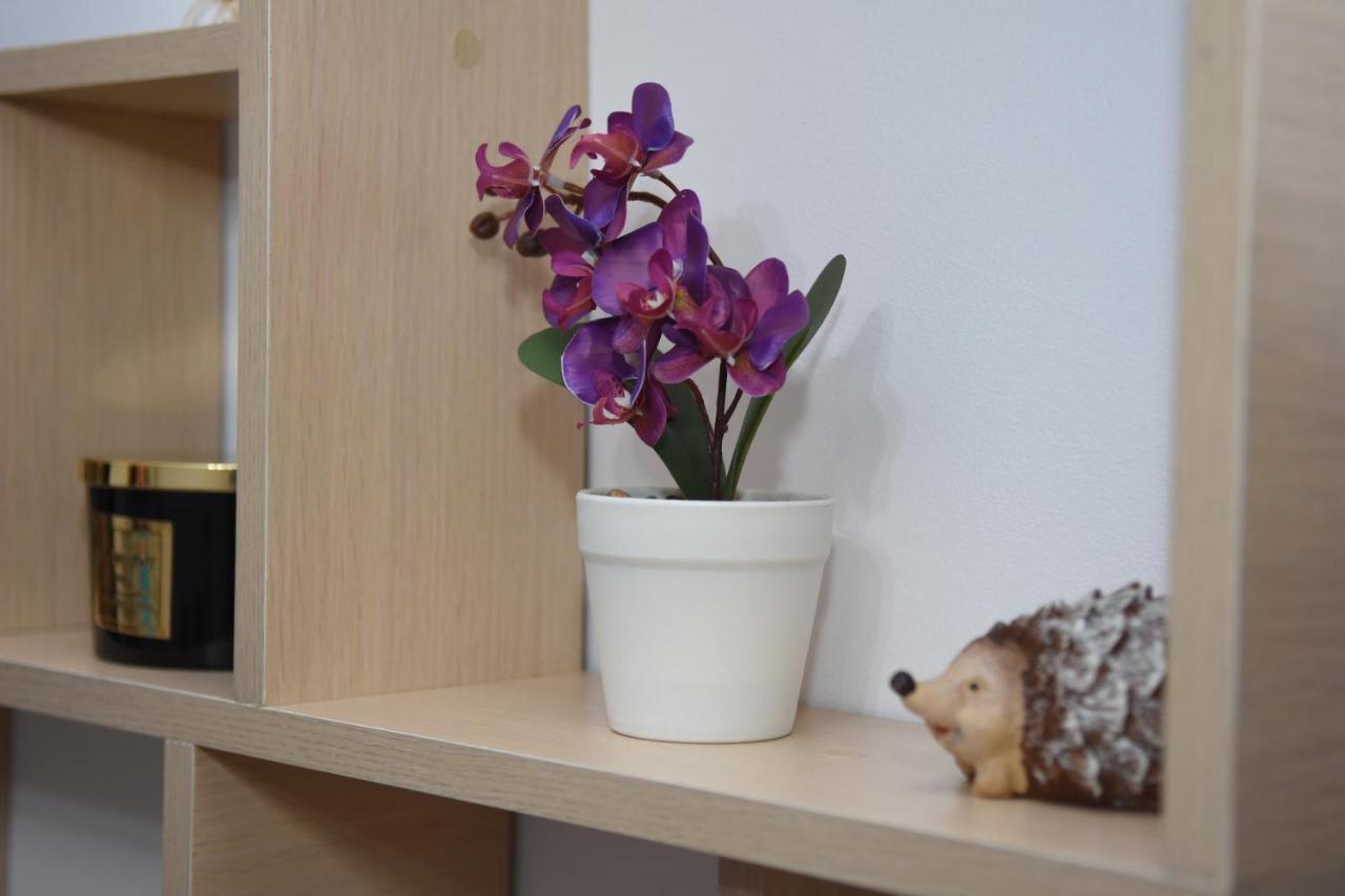 1St Apartment Nehoiu Eksteriør billede